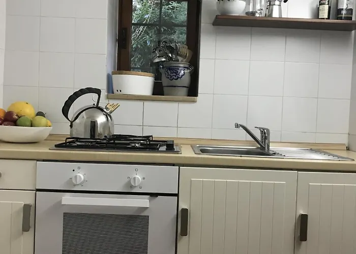 度假居 La Stalla Trarego Viggiona